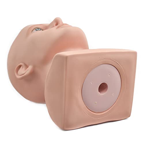 FanLin Male Mannequin Head for Wig and Accessory Display