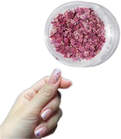 1 Box 50 Pcs Burgundy Dried Nail Flower Stickers