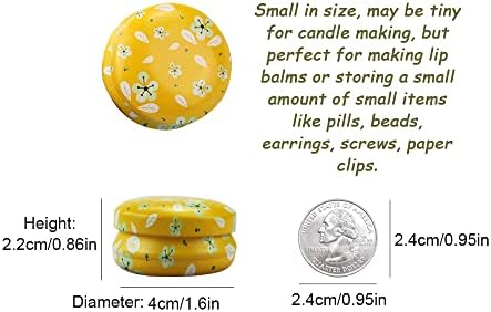 12 Pcs Mini Tinplate Candle Tins with Lids