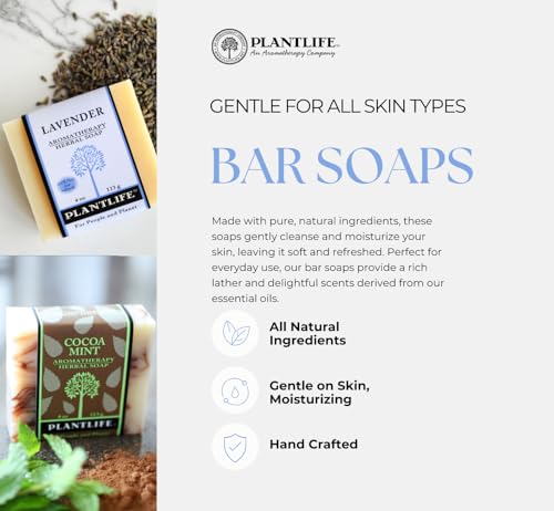Plantlife Frankincense Myrrh Bar Soap 4oz