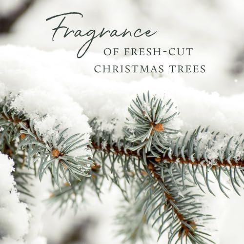 Thymes Frasier Fir Holiday Gift Set