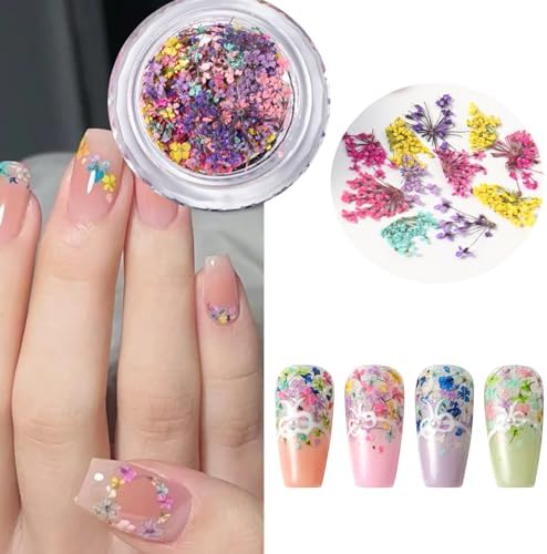 Spring Dried Flowers Nail Art Stickers Kit for Women