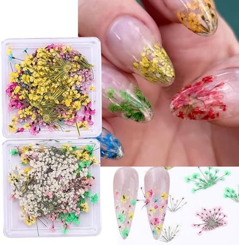 Dried Flowers Nail Art Stickers 6 Boxes with Tweezers