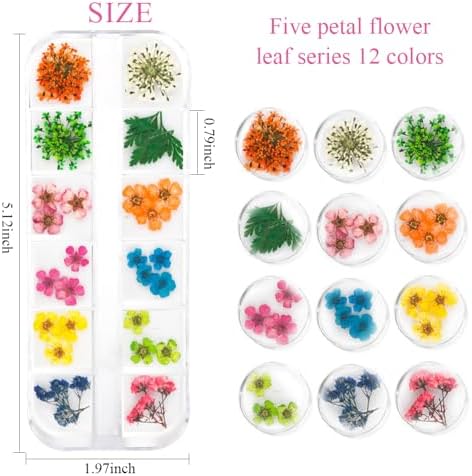 2 Boxes 3D Dried Flowers Nail Art Stickers