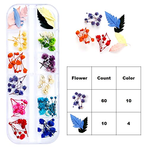 Dried Flowers for Resin Craft Nail Art Mix Pack of 6 Boxes