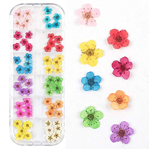 CHANGAR 3D Dried Flower Sticker Set for Nail Art and Resin Craft