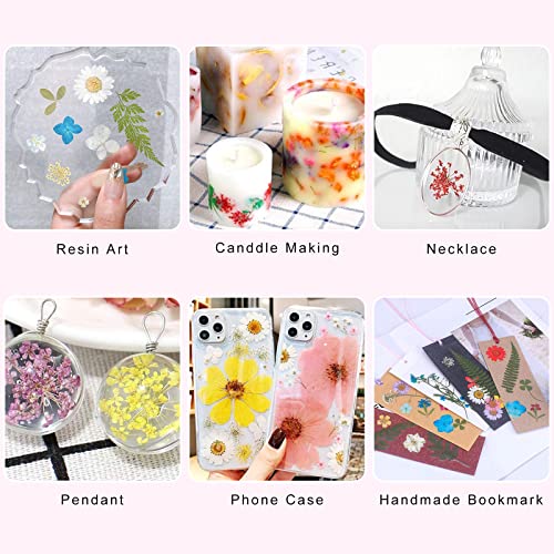 Dried Flowers for Resin Craft Nail Art Mix Pack of 6 Boxes