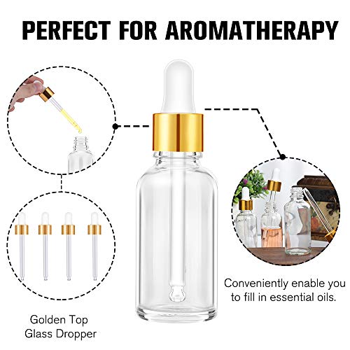 PrettyCare 2 oz Glass Dropper Bottles 4 Pack