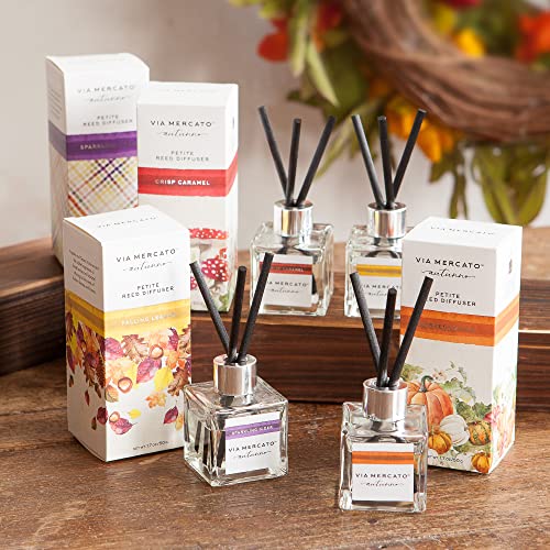 European Soaps Autunno Petite Reed Diffuser Sparkling Cider 17 Ounce