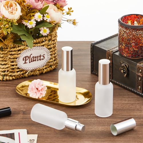 Roshtia 30 Pcs Refillable Silver Glass Spray Bottle for Perfume Travel