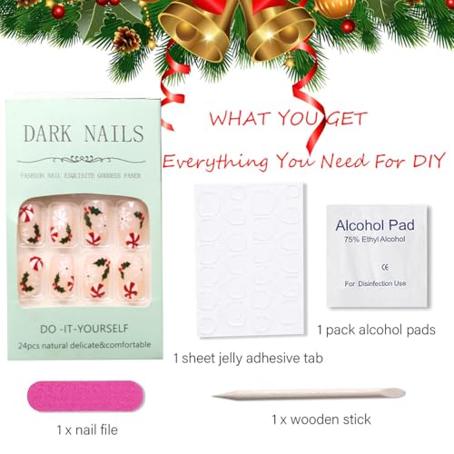 Christmas Press On Nails 24Pcs Set for Women Girls