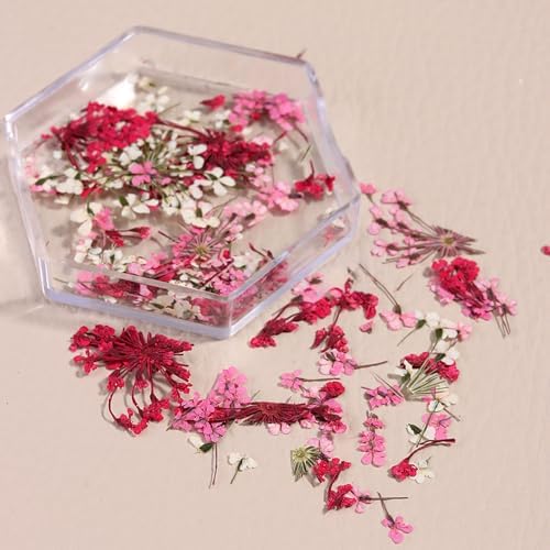 SILPECWEE 4 Boxes 3D Dried Flowers Nail Art Stickers
