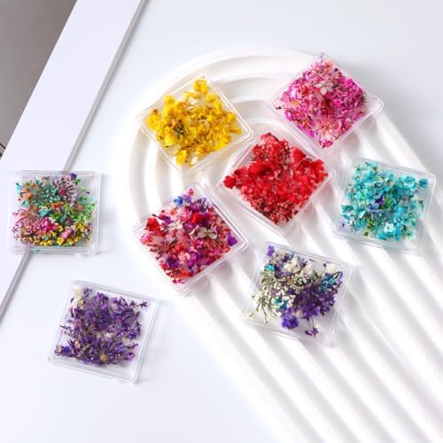 8 Box Dried Flowers Nail Art Decor Kits