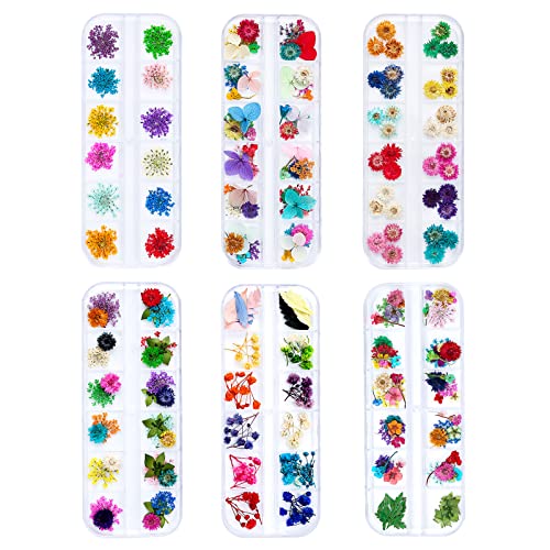 Dried Flowers for Resin Craft Nail Art Mix Pack of 6 Boxes