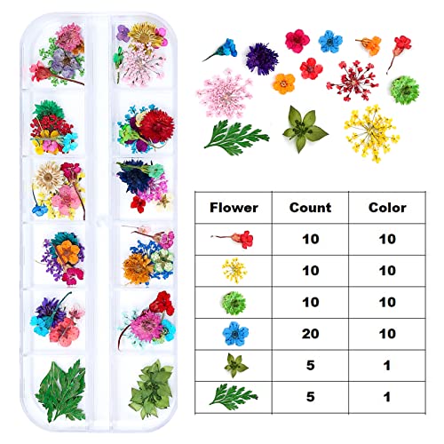 Dried Flowers for Resin Craft Nail Art Mix Pack of 6 Boxes