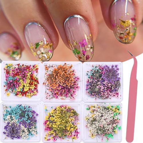 Dried Flowers Nail Art Stickers 6 Boxes with Tweezers
