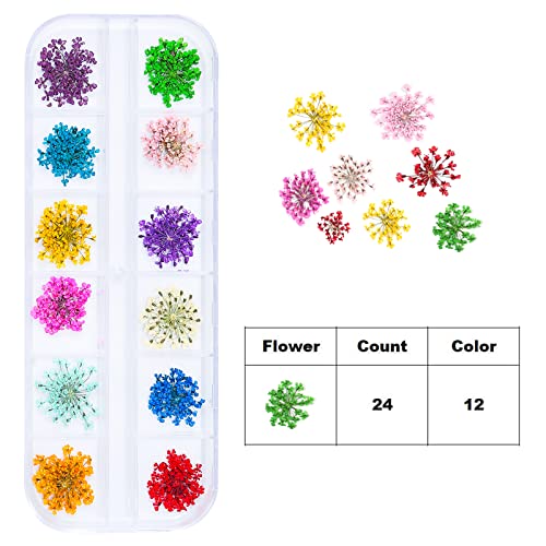 Dried Flowers for Resin Craft Nail Art Mix Pack of 6 Boxes