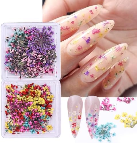 Dried Flowers Nail Art Stickers 6 Boxes with Tweezers