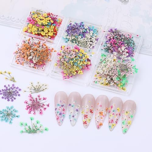 Dried Flowers Nail Art Stickers 6 Boxes with Tweezers