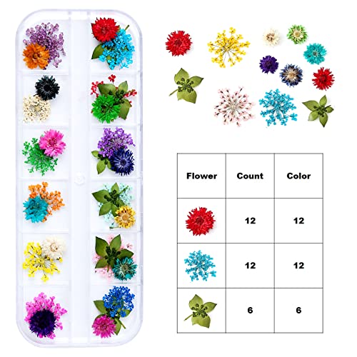 Dried Flowers for Resin Craft Nail Art Mix Pack of 6 Boxes