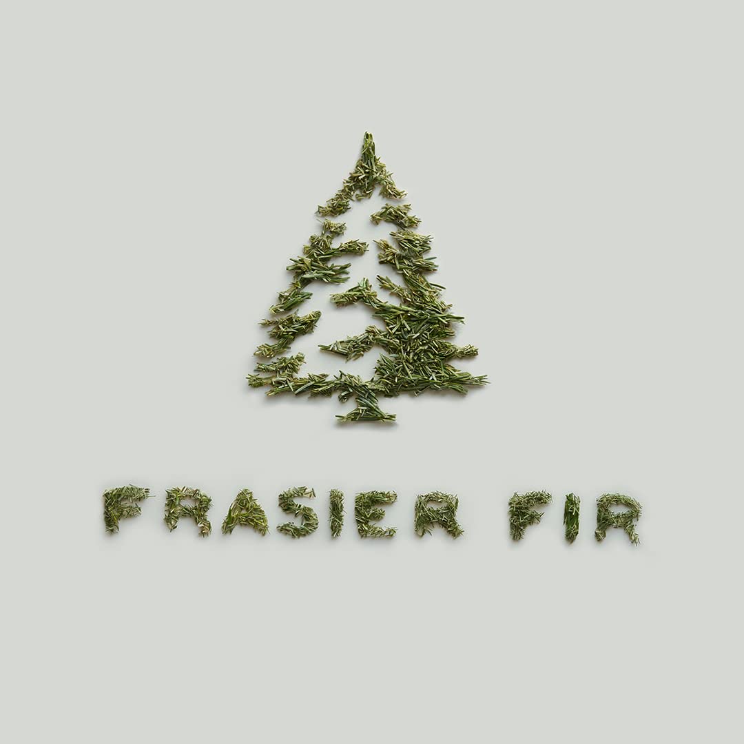 Thymes Frasier Fir Holiday Gift Set