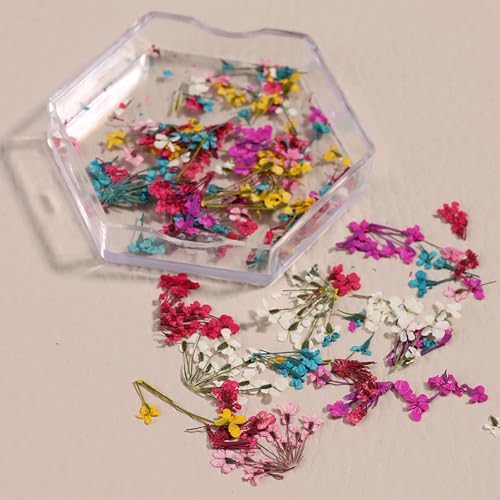 SILPECWEE 4 Boxes 3D Dried Flowers Nail Art Stickers