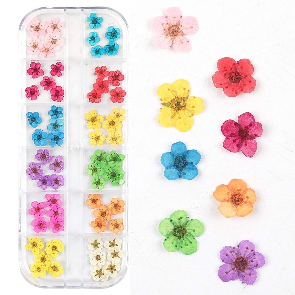CHANGAR 3D Dried Flower Sticker Set for Nail Art and Resin Craft