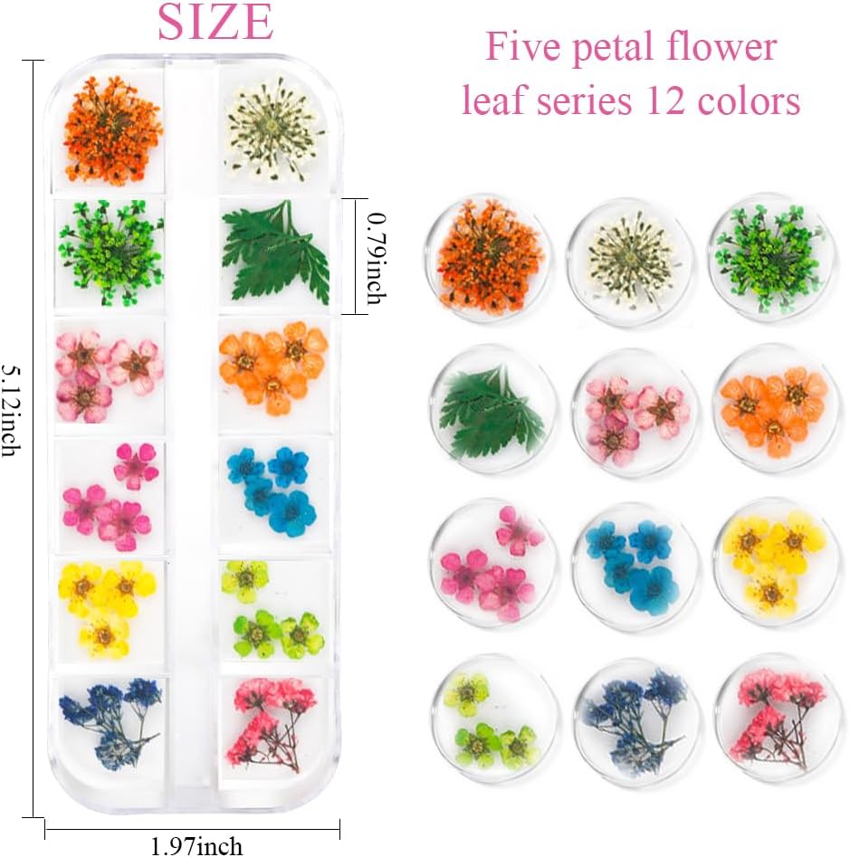 2 Boxes 3D Dried Flowers Nail Art Stickers