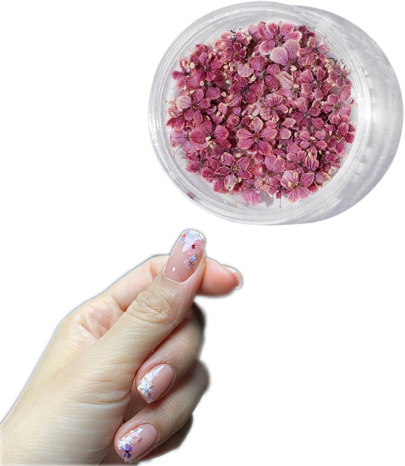 1 Box 50 Pcs Burgundy Dried Nail Flower Stickers