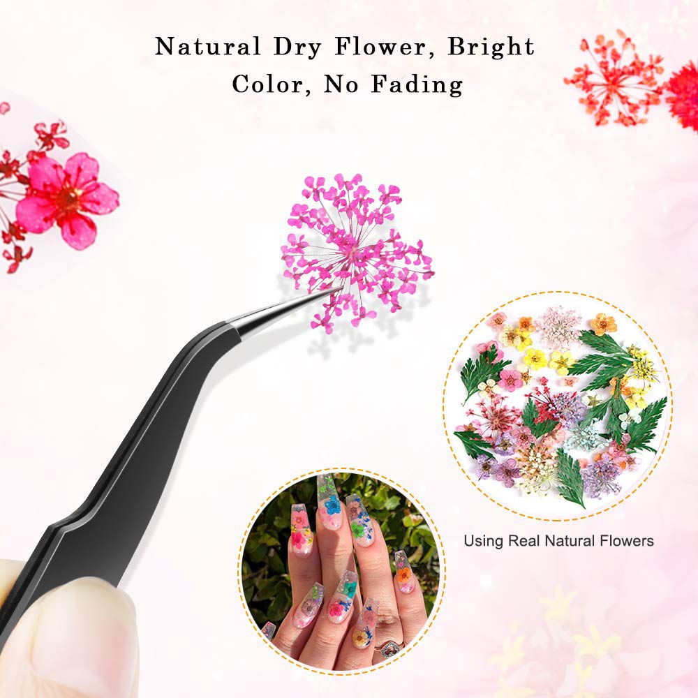 CHANGAR 3D Dried Flower Sticker Set for Nail Art and Resin Craft