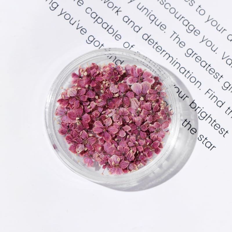 1 Box 50 Pcs Burgundy Dried Nail Flower Stickers