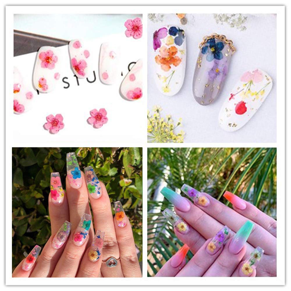 CHANGAR 3D Dried Flower Sticker Set for Nail Art and Resin Craft