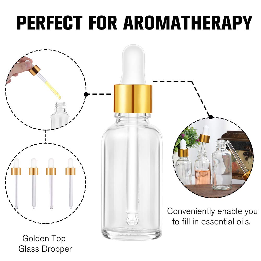PrettyCare 2 oz Glass Dropper Bottles 4 Pack