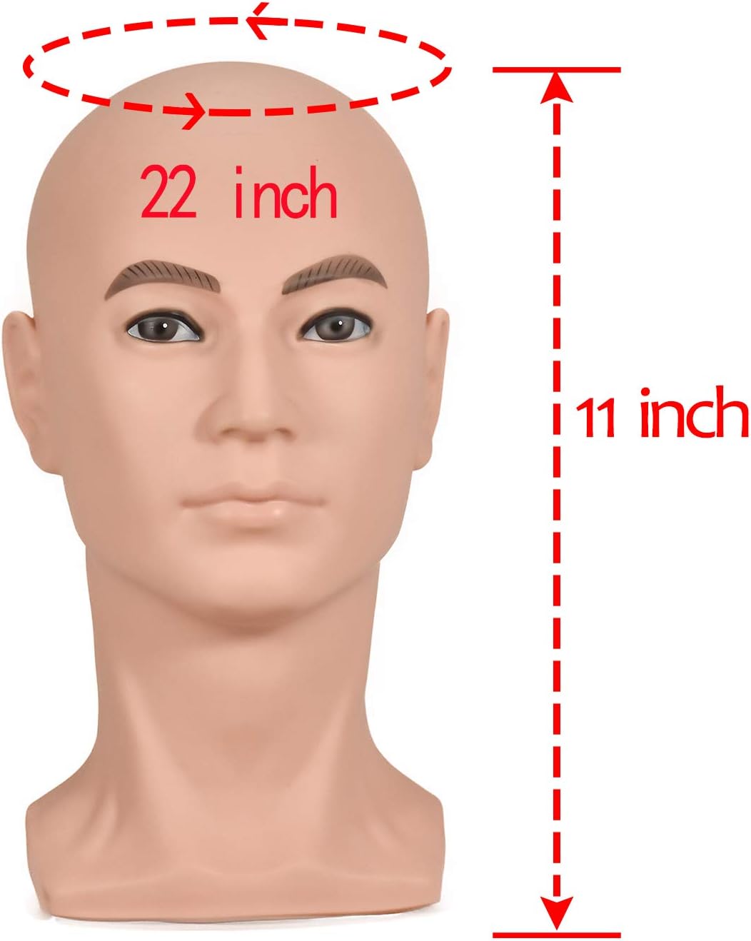 ZMS Male Mannequin Training Head with Free Table Clamp