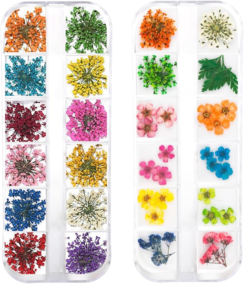 2 Boxes 3D Dried Flowers Nail Art Stickers
