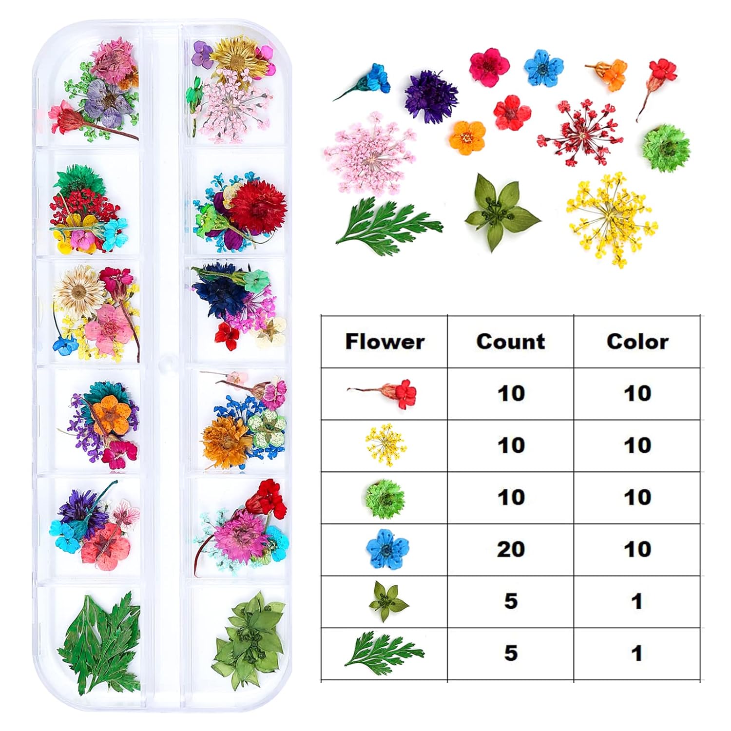 Dried Flowers for Resin Craft Nail Art Mix Pack of 6 Boxes