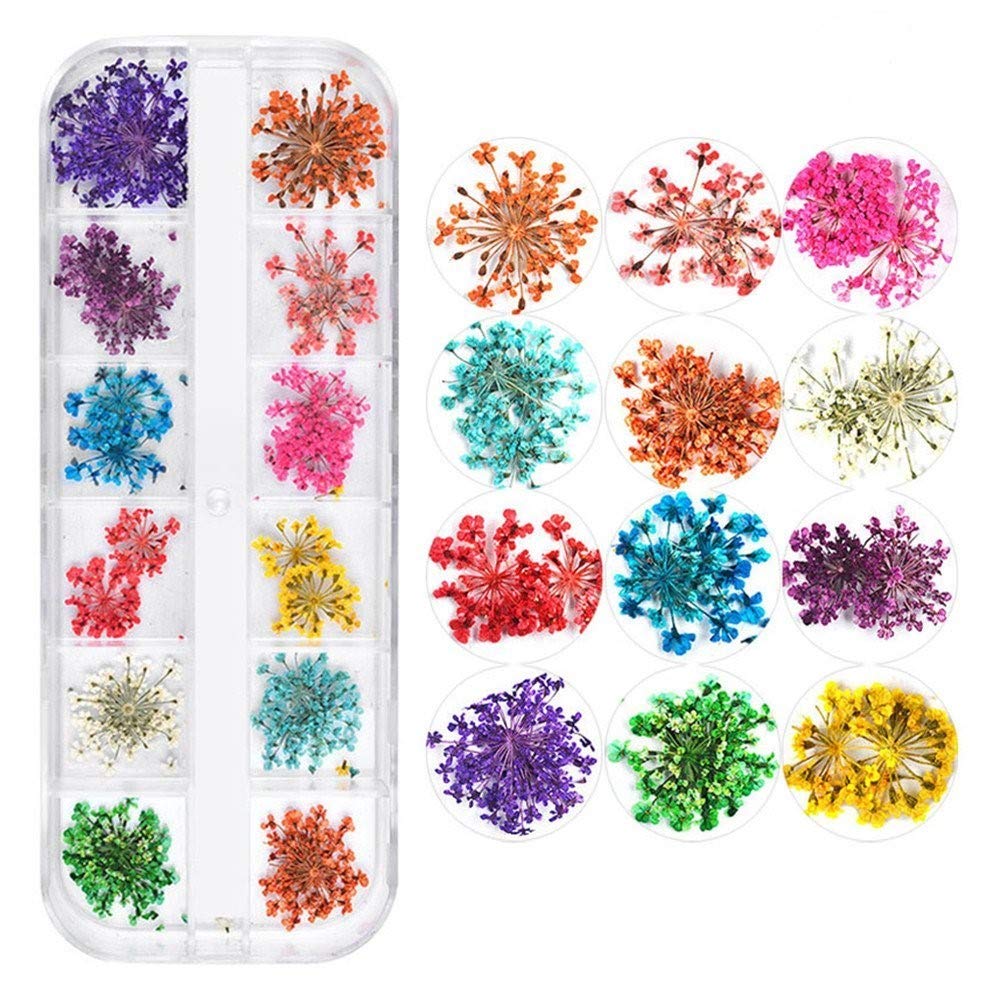CHANGAR 3D Dried Flower Sticker Set for Nail Art and Resin Craft