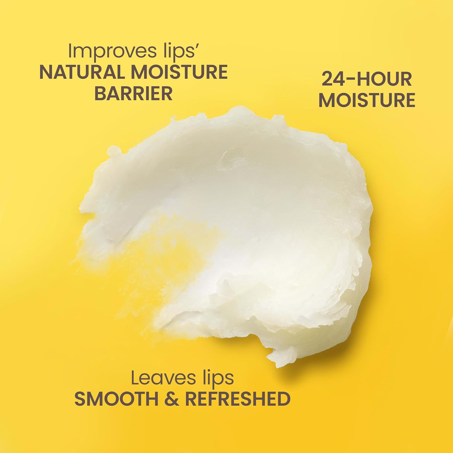Burts Bees Garden Party Lip Balm Set 4 Pack
