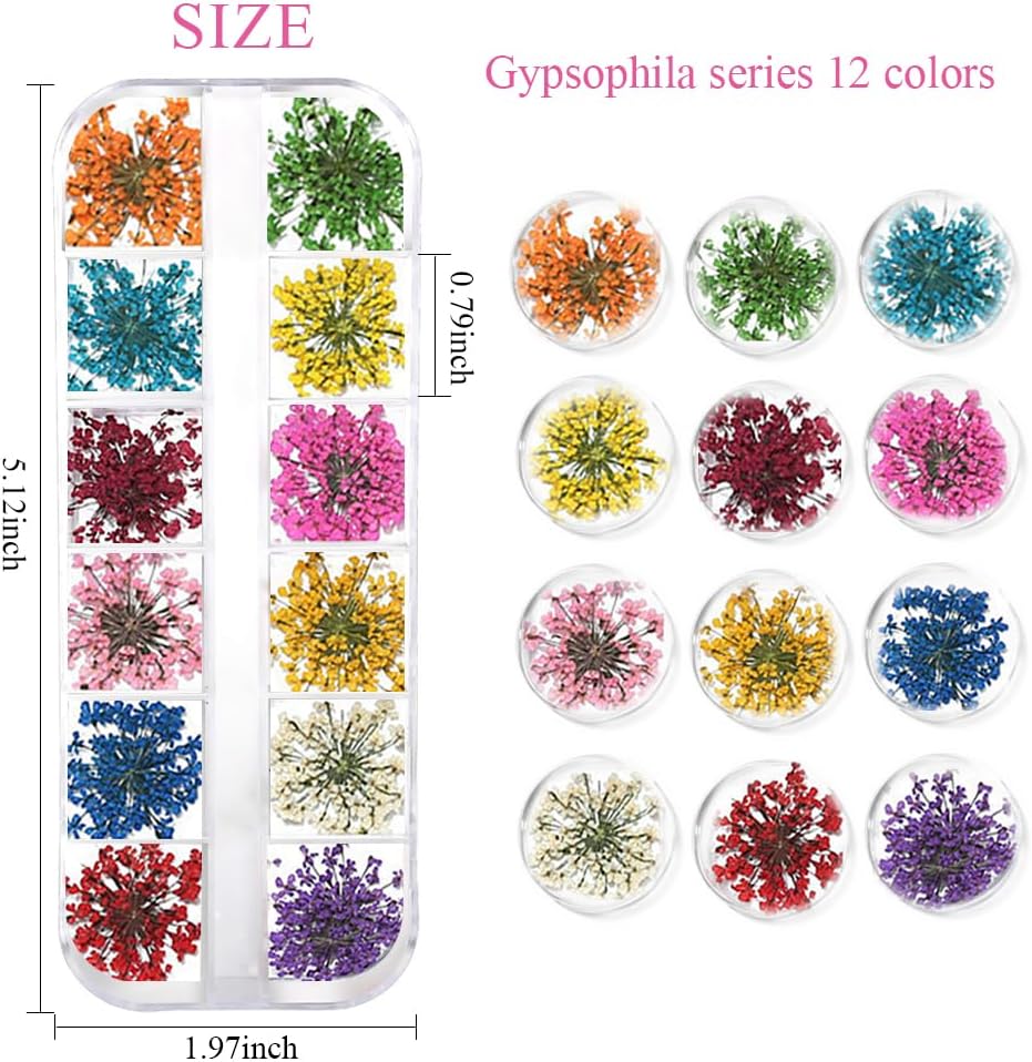 2 Boxes 3D Dried Flowers Nail Art Stickers