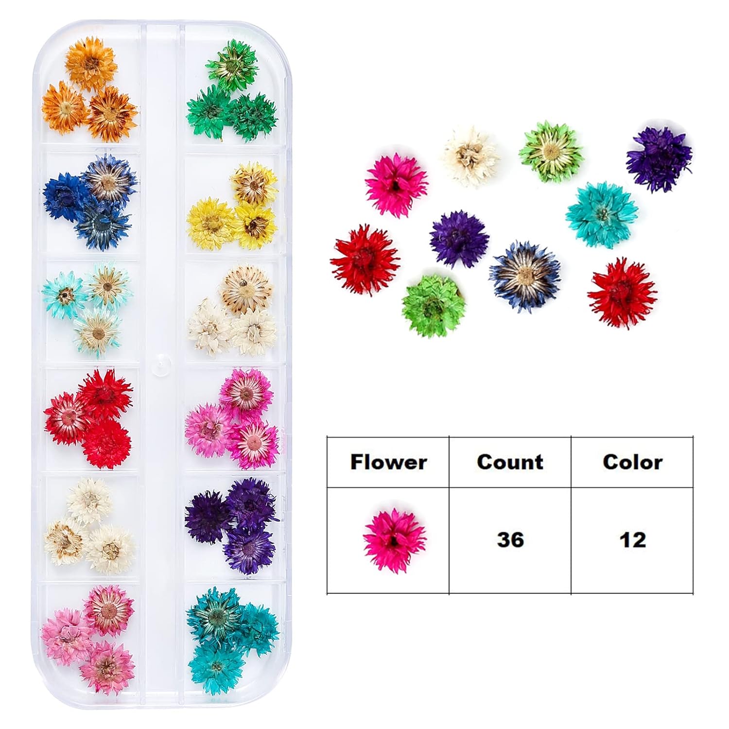 Dried Flowers for Resin Craft Nail Art Mix Pack of 6 Boxes
