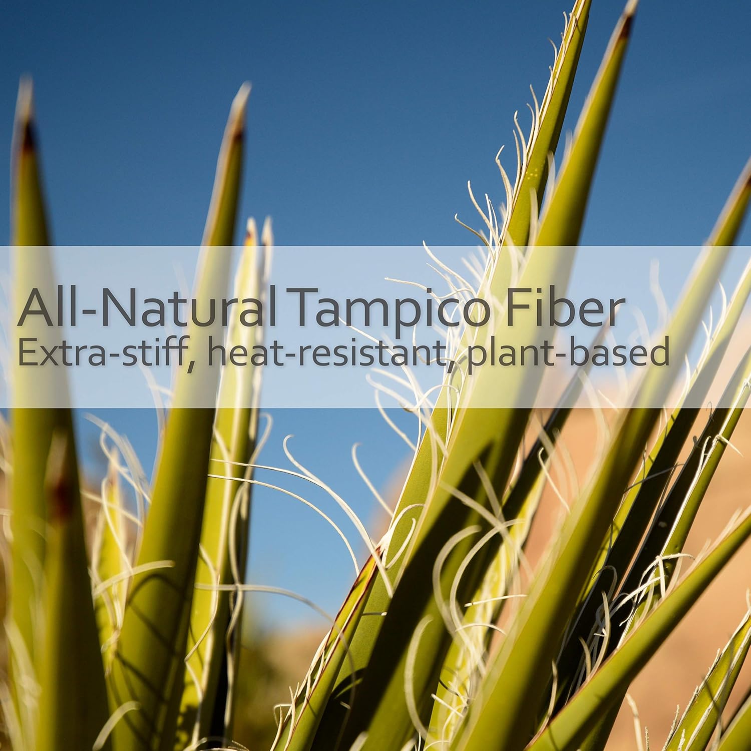 Redecker Tampico Fiber Dish Brush with Oiled Beechwood Handle