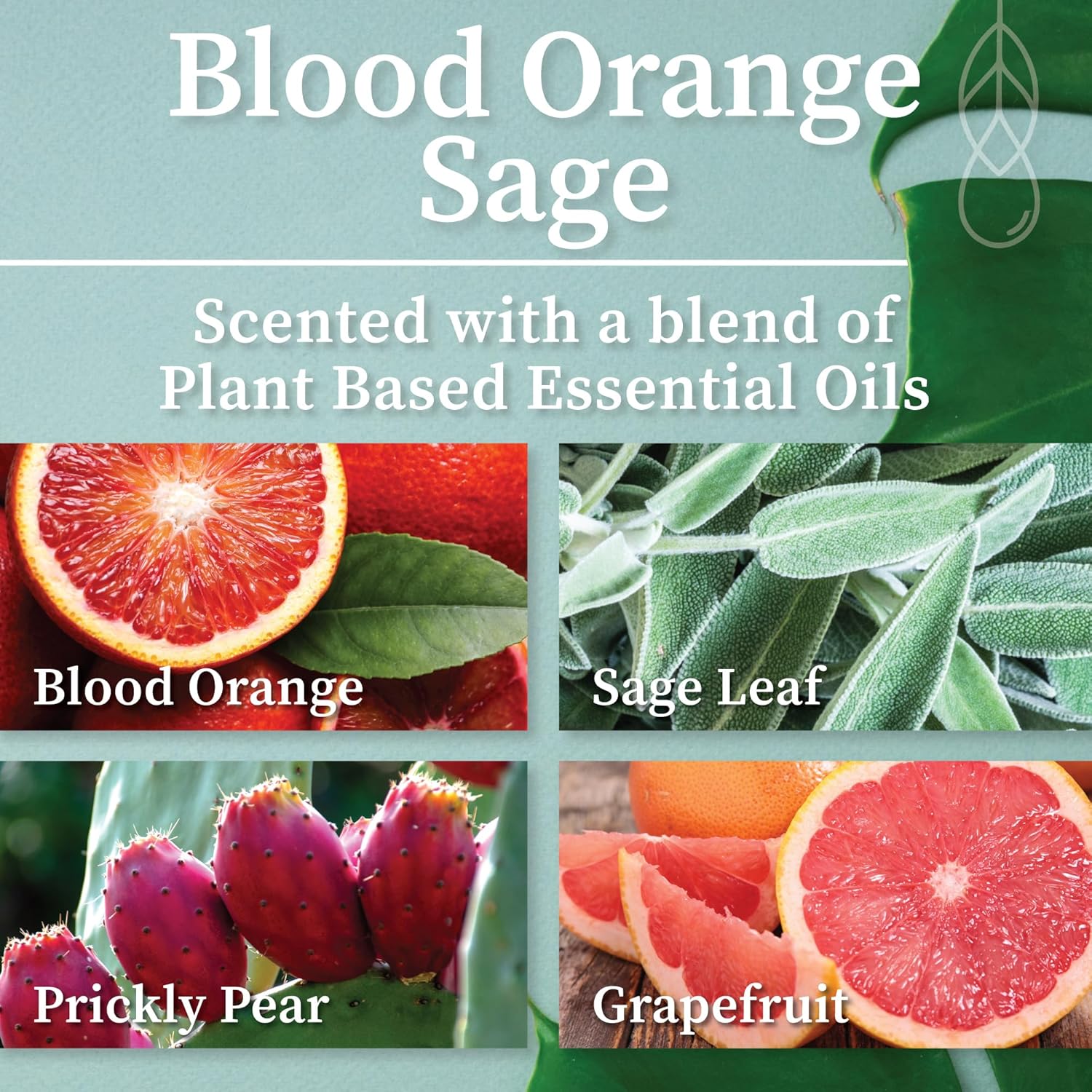 Hemlock Park Blood Orange Sage Spa Gift Set