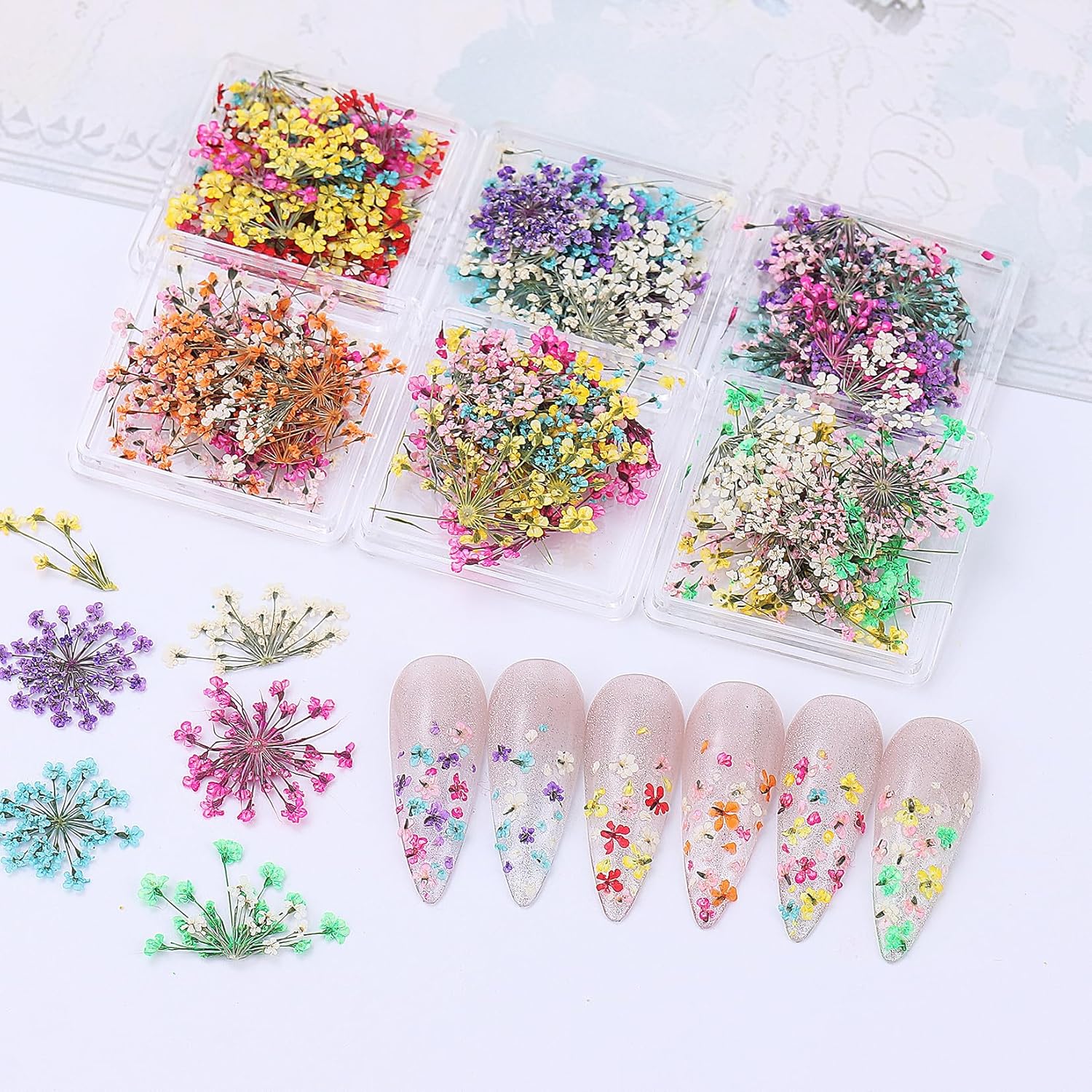 Dried Flowers Nail Art Stickers 6 Boxes with Tweezers