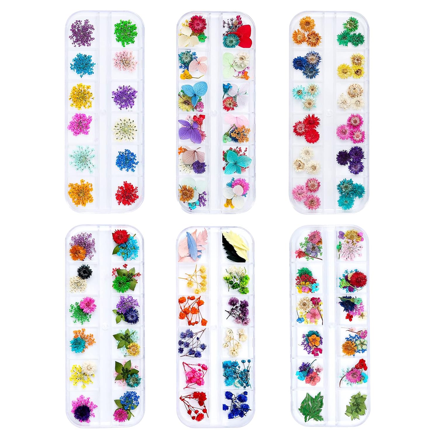 Dried Flowers for Resin Craft Nail Art Mix Pack of 6 Boxes